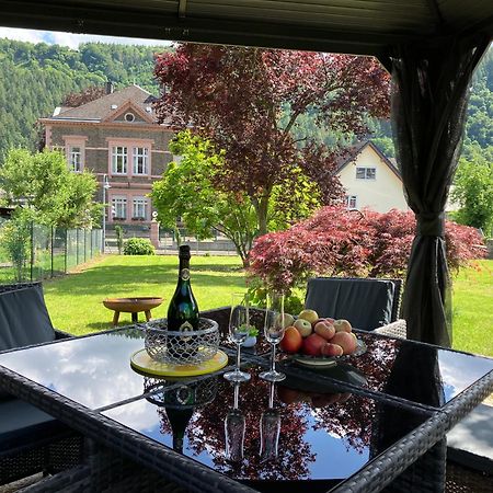 Neu - Ferienwohnungen Im Winzergarten Трабен-Трарбах Екстериор снимка